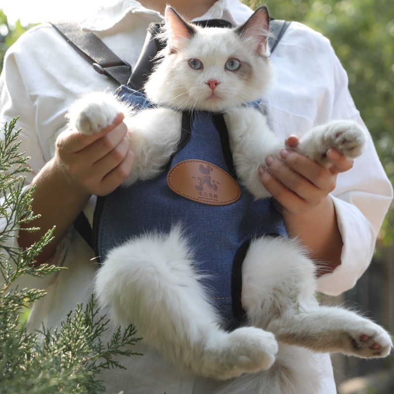 Pet Cat Carrier Fashion Travel Bag Dog Backpack Breathable Pet Bags Shoulder Puppy Carrier