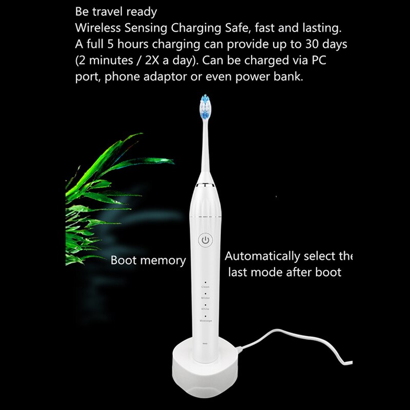 Magnetic levitation motor sonic electric toothbrush high frequency vibration adult couple style, USB with base charging