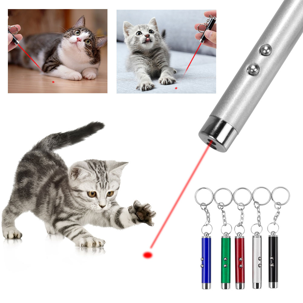 2-In-1 Cat Pet Toy Red Laser 