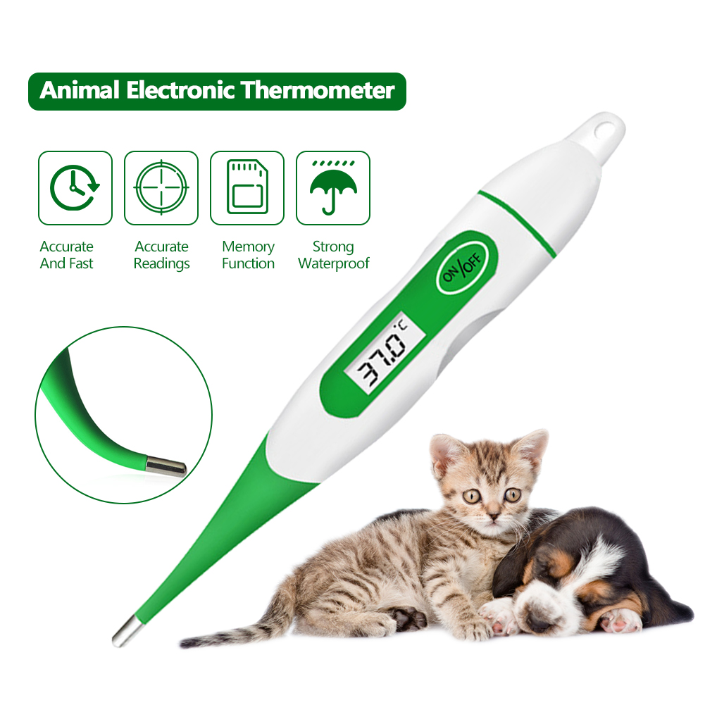 Veterinary Body Thermometer